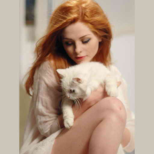 Людмила Михайлова, Чужая кошка в зеркале, скачать бесплатно, бесплатная электронная книга
